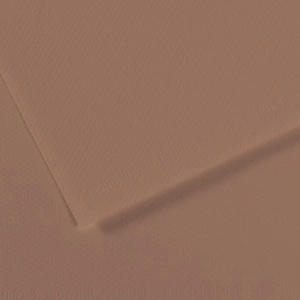 Canson Fon Kartonu (Dokulu) Mı-Teıntes Sh Canmt 50x65 160 GR Brown 188