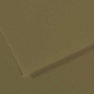 Canson Fon Kartonu (Dokulu) Mı-Teıntes Sh Canmt 50x65 160 GR Grn 191