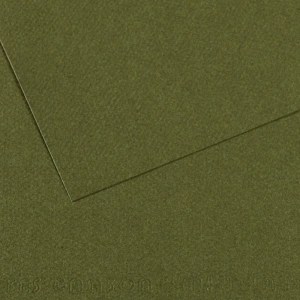Canson Fon Kartonu (Dokulu) Mı-Teıntes Sh Canmt 50x65 160 GR Grn 448