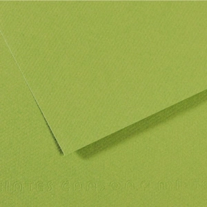 Canson Fon Kartonu (Dokulu) Mı-Teıntes Sh Canmt 50x65 160 GR Grn 475