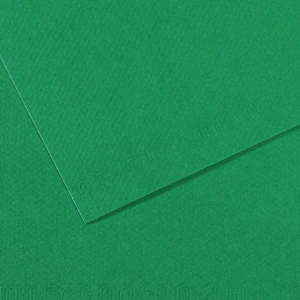 Canson Fon Kartonu (Dokulu) Mı-Teıntes Sh Canmt 50x65 160 GR Grn 575 31032S114