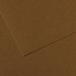 Canson Fon Kartonu (Dokulu) Mı-Teıntes Sh Canmt 50X65 160G Brown 501 31033S122