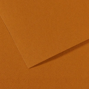 Canson Fon Kartonu (Dokulu) Mı-Teıntes Sh Canmt 50X65 160G Brown 502 31032S109