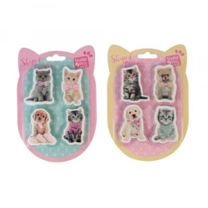 Dolphin Studio Pets Blisterli Silgi Seti PT-783