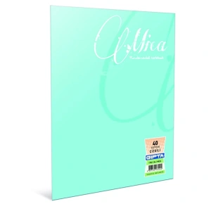 Gıpta Defter (Dikişli ) Mica Plastik Kapak Çizgili 100 YP A5 2934