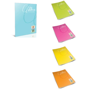 Gıpta Defter (Dikişli ) Mica Plastik Kapak Kareli 80 YP A5 2055