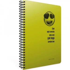 Gıpta Spiralli Plastik Kapak Defter Real A4 80 YP Çizgili