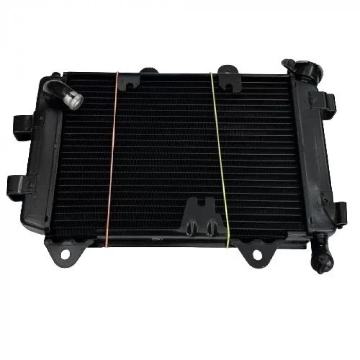 Bajaj Dominar 250 Radyatör Orijinal
