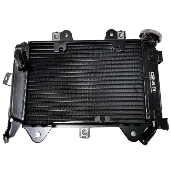 Bajaj Pulsar NS 200 Radyatör