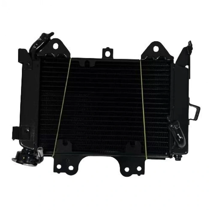 Bajaj Pulsar NS 200 Radyatör Orijinal