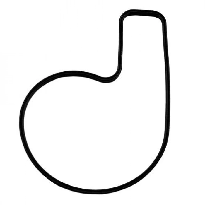 Bajaj Pulsar RS 200 Su Pompa Kapak Oringi Orijinal