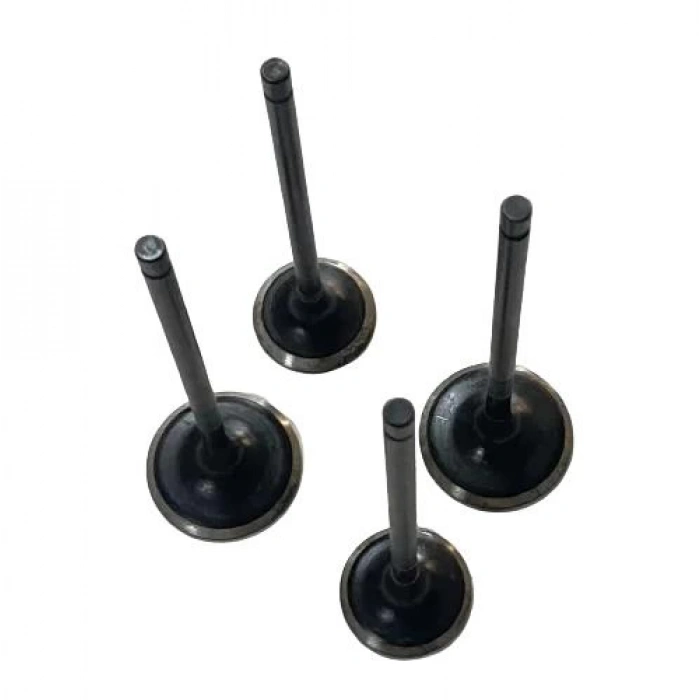 Bajaj Pulsar RS 200 Subap 4lü Usha