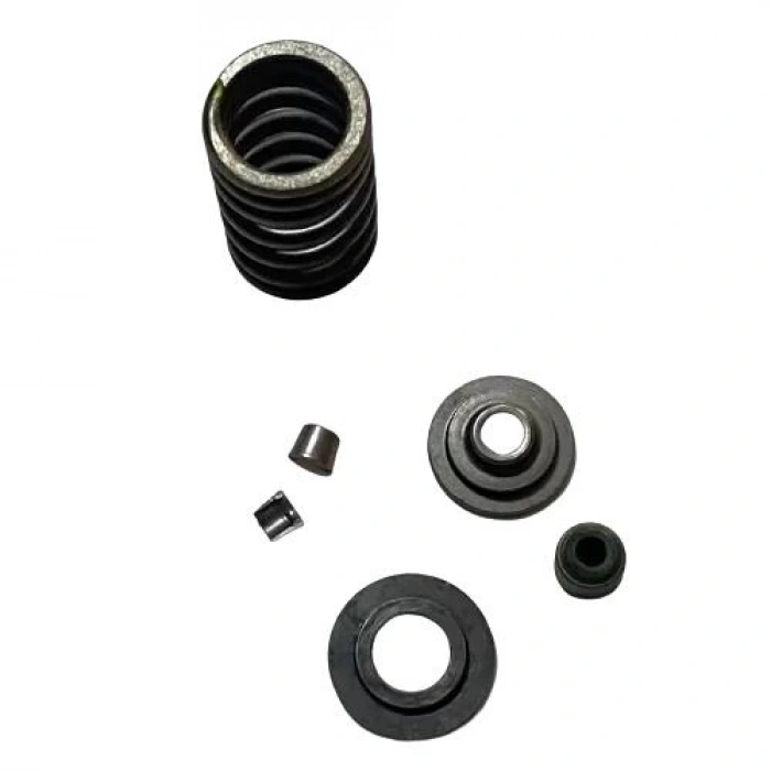 Bajaj Pulsar RS 200 Subap Keçe Yay Takımı Orijinal