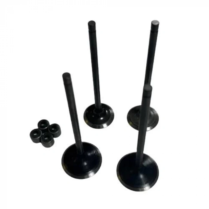 Bajaj Pulsar NS 200 Subap ve Keçe Seti Varroc