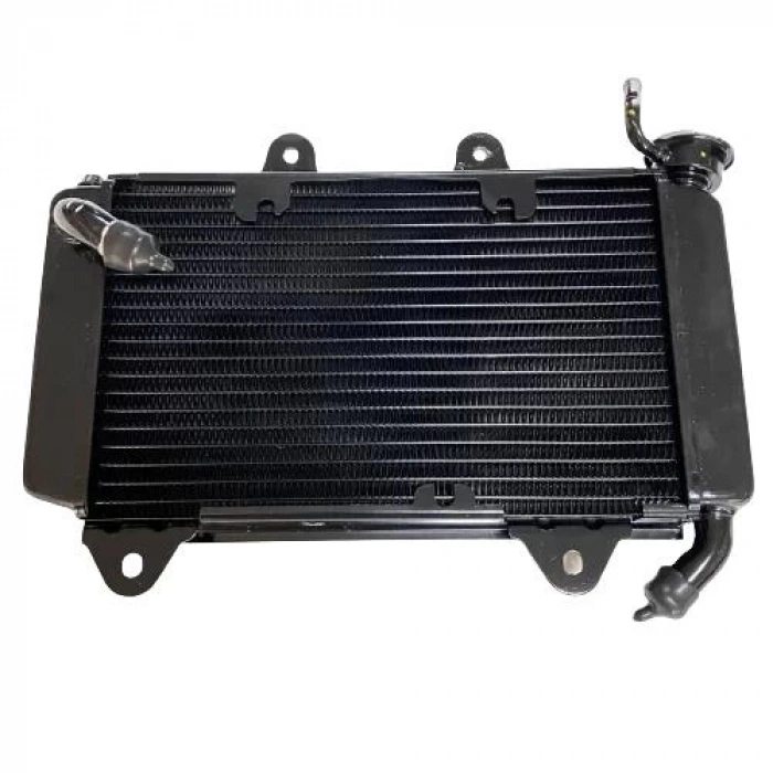 Bajaj Pulsar RS 200 Radyatör Komple Orijinal