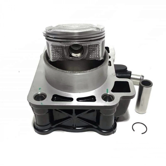 Bajaj Pulsar RS 200 Silindir Dolu Orijinal