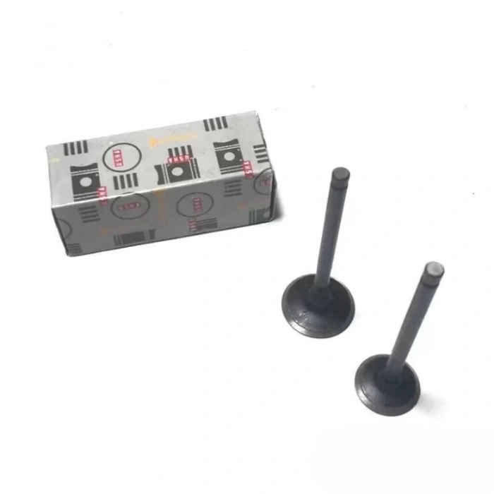 Honda Beat Subap Takım Usha