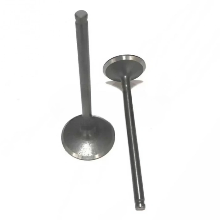 Honda CBF 150 Subap Takım Usha