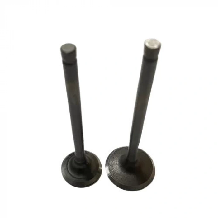 Honda Spacy 110 Subap Takım Oem