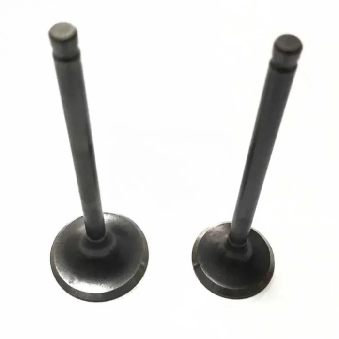 Kuba Golf Subap Takım