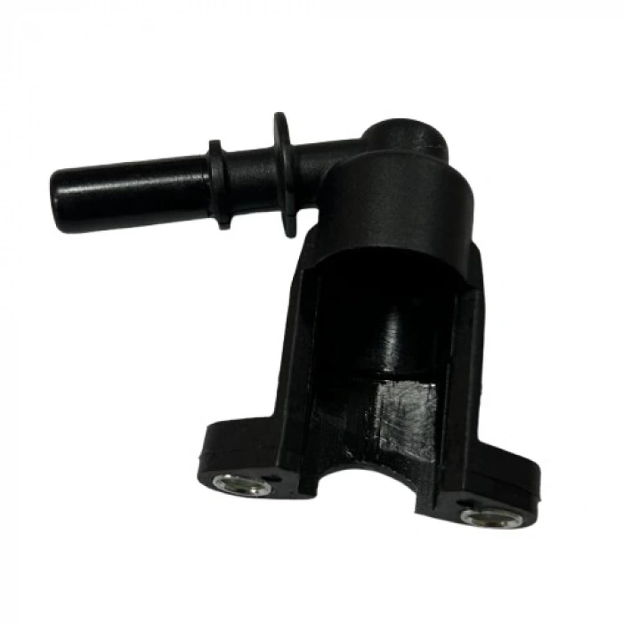 Kuba Zenzero Enjeksiyon Tepesi