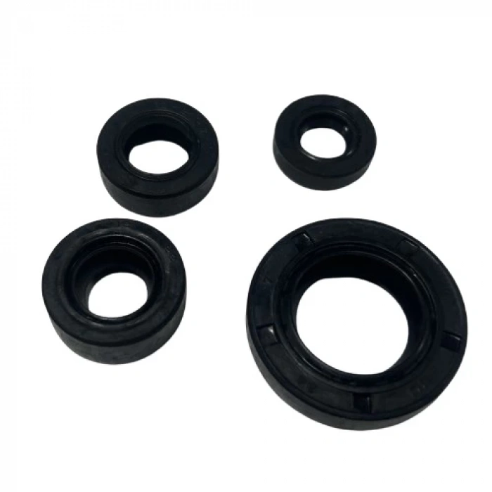 TVS Apache RTR 150 Keçe 4lü