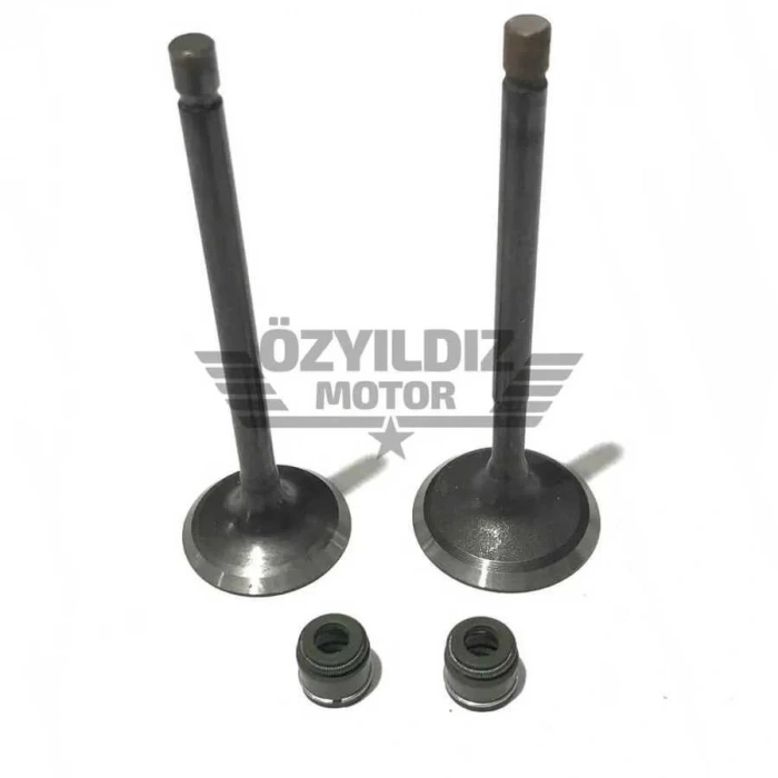 TVS Apache RTR 180 Subap ve Keçe Takım Orijinal