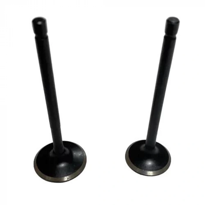 TVS Apache RTR 180 Subap Takım