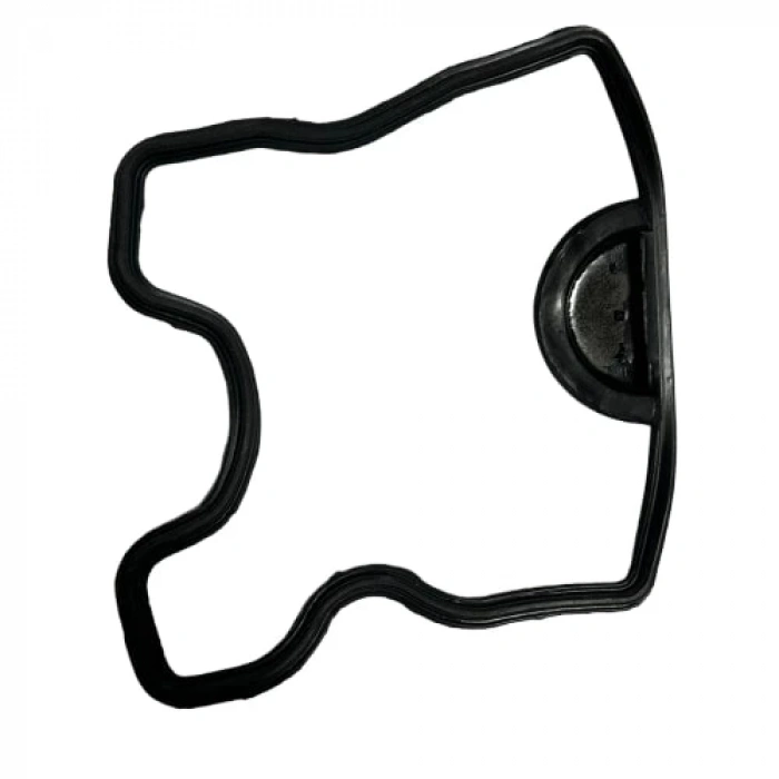 TVS Apache RTR 200 E5 Külbütör Kapak Oringi Orijinal