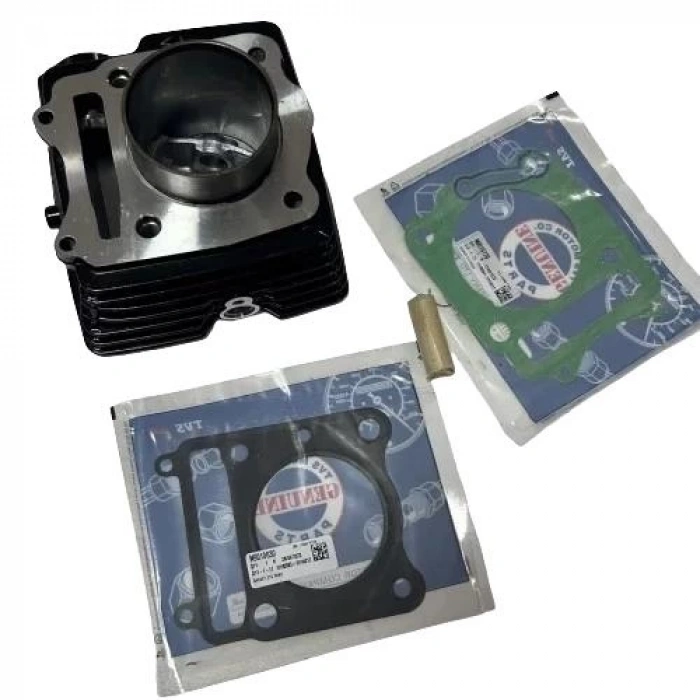 TVS Apache RTR 200 E5 Silindir Dolu Orijinal