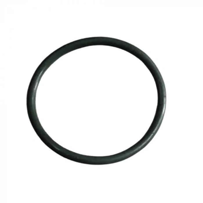 TVS Raider 125 Manifold Oringi Orijinal