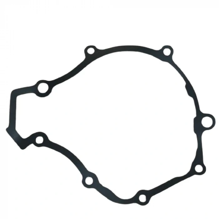 TVS Raider 125 Manyeto Kapak Contası Orijinal