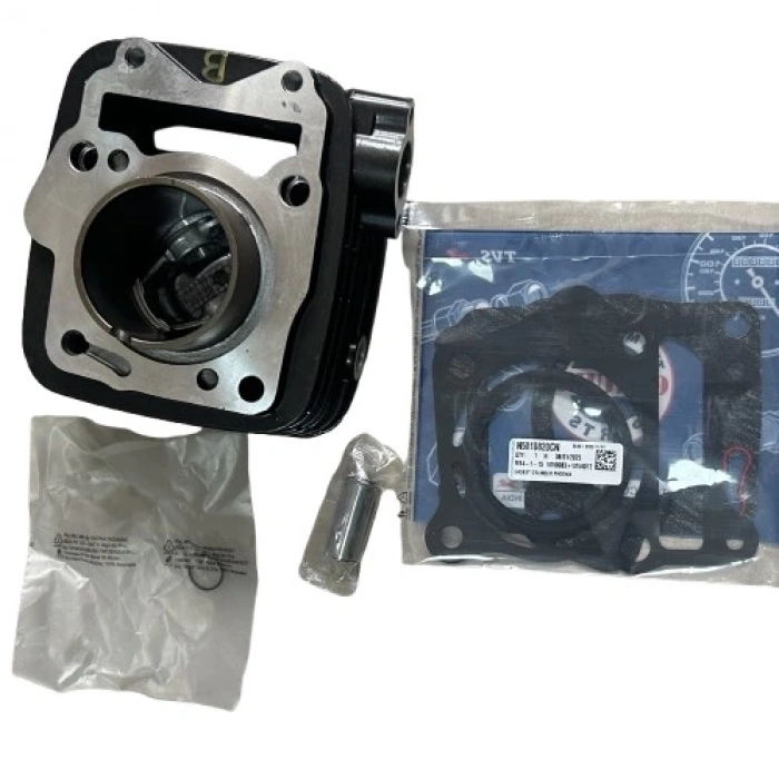 TVS Raider 125 Silindir Orijinal