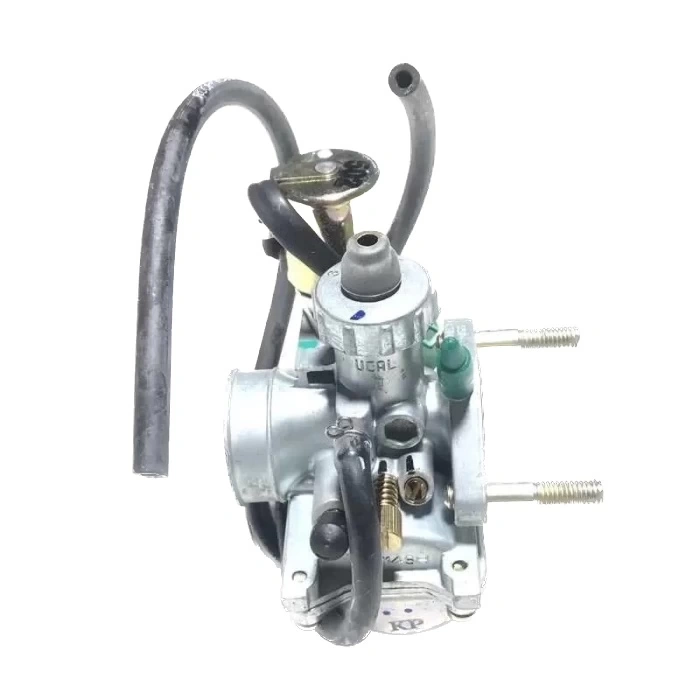 TVS Scooty Pep Karbüratör Orijinal