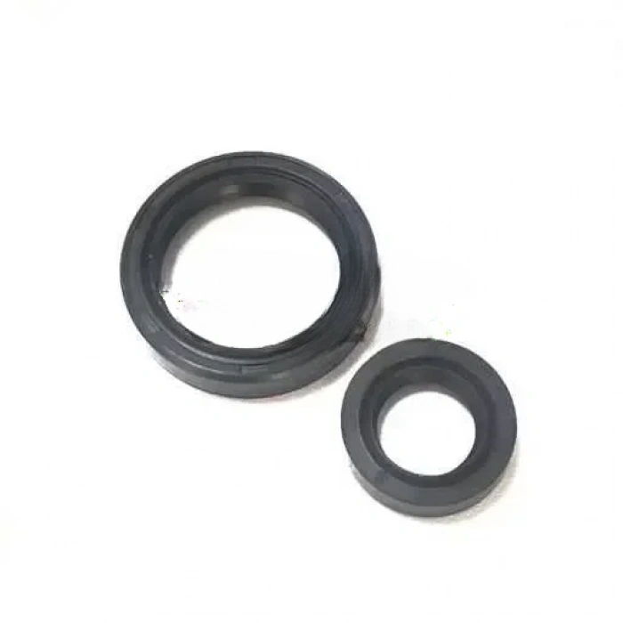 TVS Scooty Pep Krank Keçesi Takım