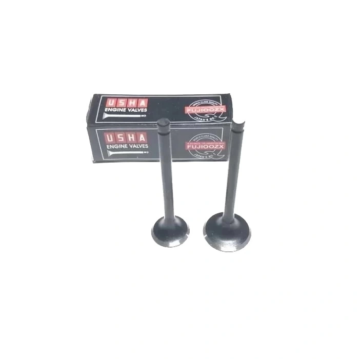 TVS Scooty Pep Subap Takım Usha