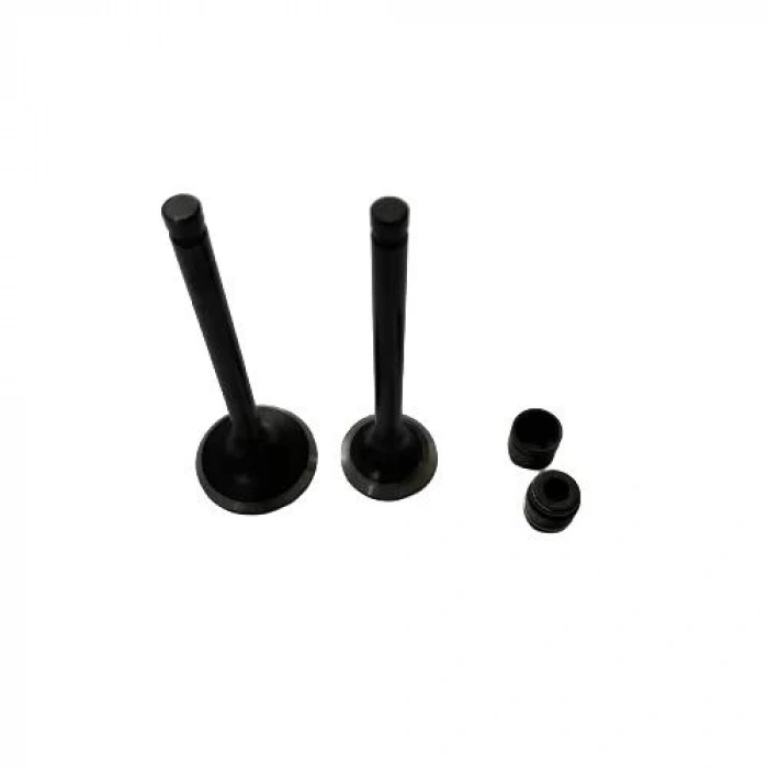 TVS Scooty Pep Subap ve Keçe Seti Varroc