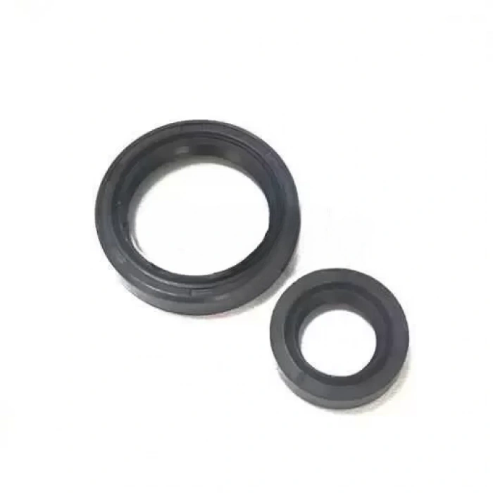 TVS Wego 110 Krank Keçesi Takım