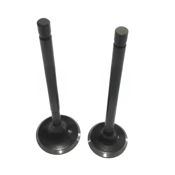 TVS Wego 110 Subap Takım Usha