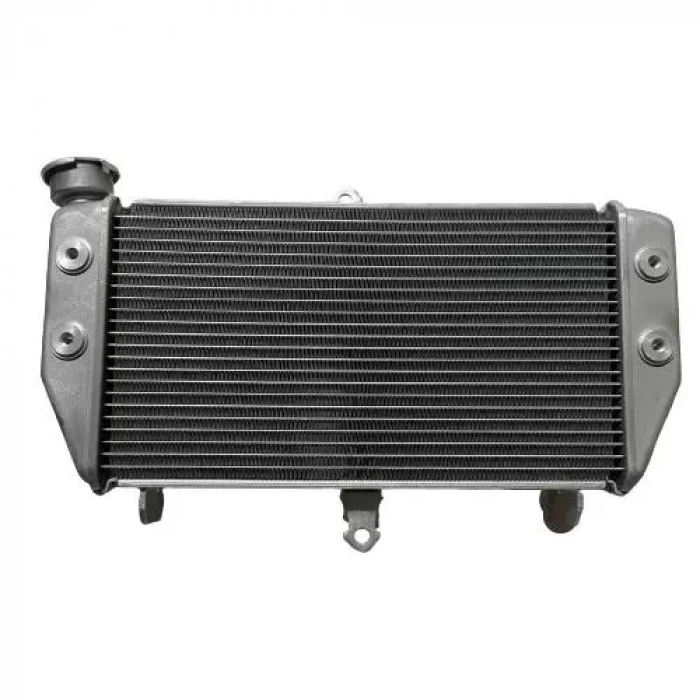 Yamaha MT 25 (2014-2019) Radyatör Orijinal