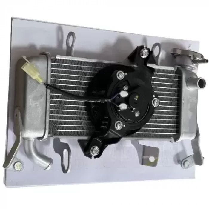 Yamaha YZF R125 Radyatör Orijinal