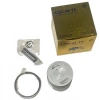 TVS Scooty Pep 90cc Piston Sekman 075
