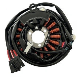 Honda Pcx (2011-2013) Statör