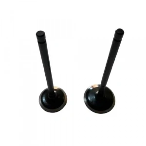 Bajaj Boxer 150 Subap Set Usha