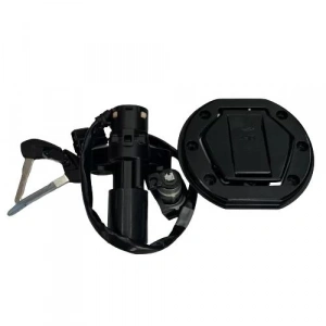 Bajaj Dominar 250 Kontak Seti Orijinal