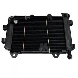 Bajaj Dominar 400 Radyatör Orijinal