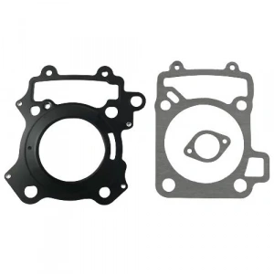 Bajaj Pulsar RS 200 Conta Alt Üst