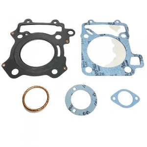 Bajaj Pulsar NS 200 Conta Yarım Takım