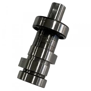 Bajaj Pulsar RS 200 Eksantrik Mili Çift Yiv Orijinal