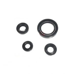 Bajaj Pulsar NS 200 Keçe 4lü Takım